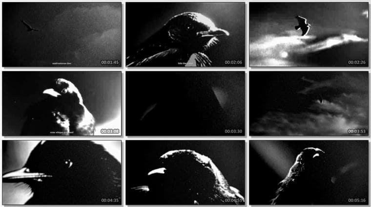 Martin Gore